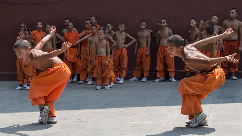 Kung Fu Practitioner